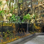 Haus des Meeres